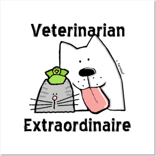 Veterinarian Extraordinaire Posters and Art